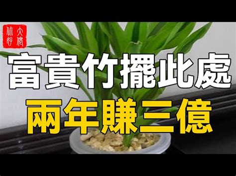 水仙竹風水|【水仙竹風水】小心招黴厄！水仙竹風水擺錯「4禁區」易破財 –